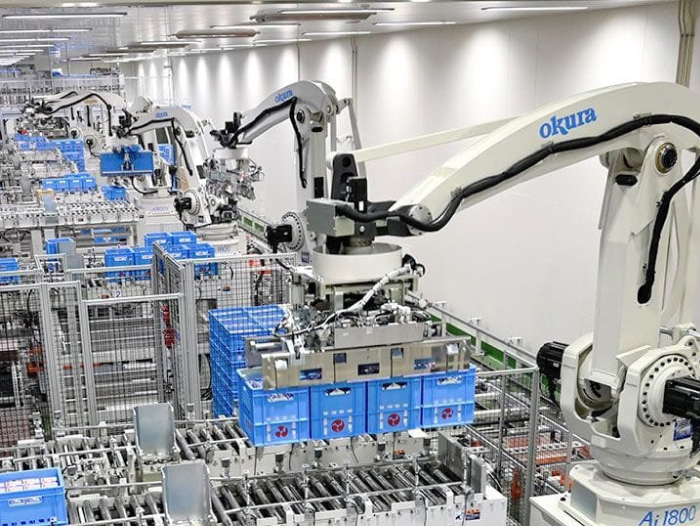 Palletizing/Depalletizing System