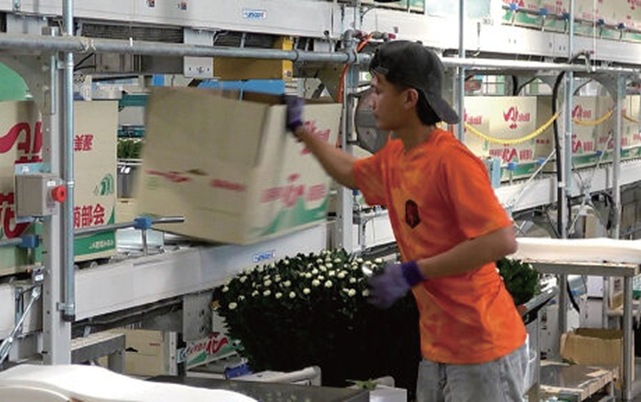 The empty box removal section is free due to stopper control, making it easy to remove.