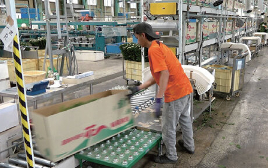 It is put into the lowest line and transported downstream.