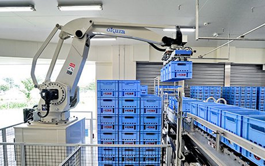 A robot depalletizer transfers collected crates to a washing line