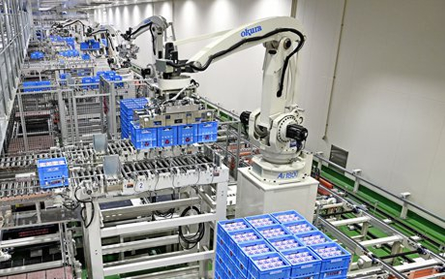 Seven robot palletizers have been installed